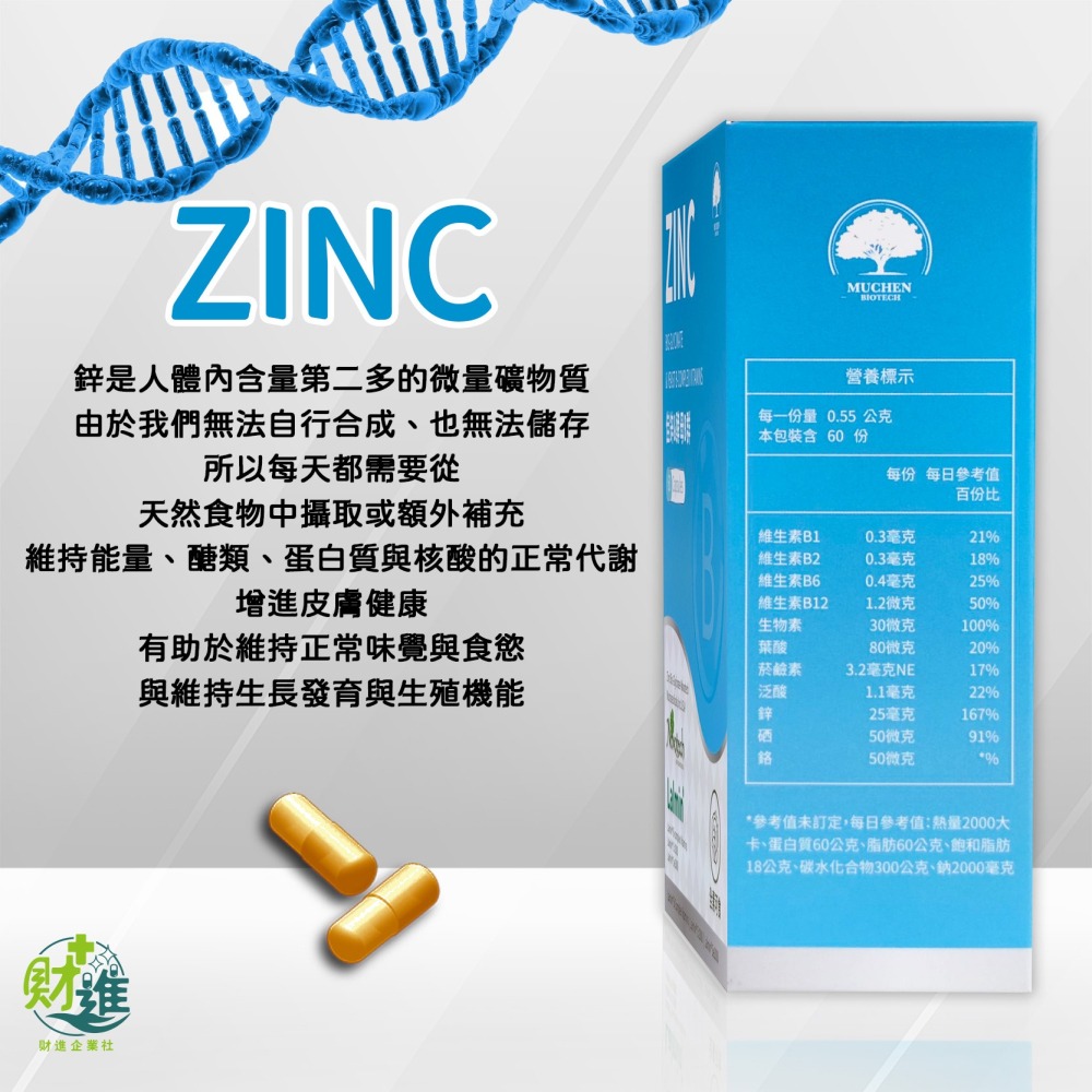 佳鋅酵母B群複方膠囊 b群 佳鋅酵母 60顆 鋅 b群 + 鋅  酵母鋅 酵母 b群 維生素b群-細節圖3
