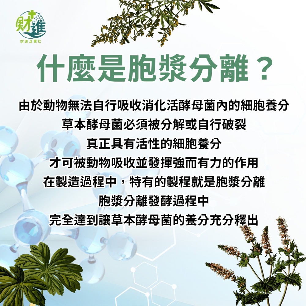 復康能生化營養滴劑 滴劑 復康能滴劑 100ml 糖漿 復康能-細節圖7