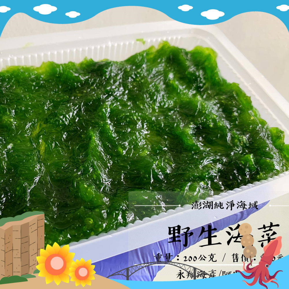 《澎湖名產》永翔海產/阿忠花枝丸 狗母魚丸&海菜組合-細節圖2