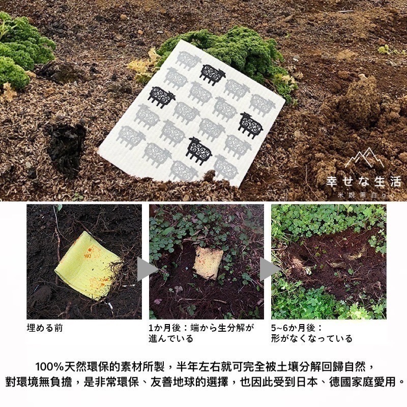 [友善地球首選]Ecomfort House德國製kata kata北歐風天然環保高吸水力海綿抹布 碗盤吸水墊布-細節圖9