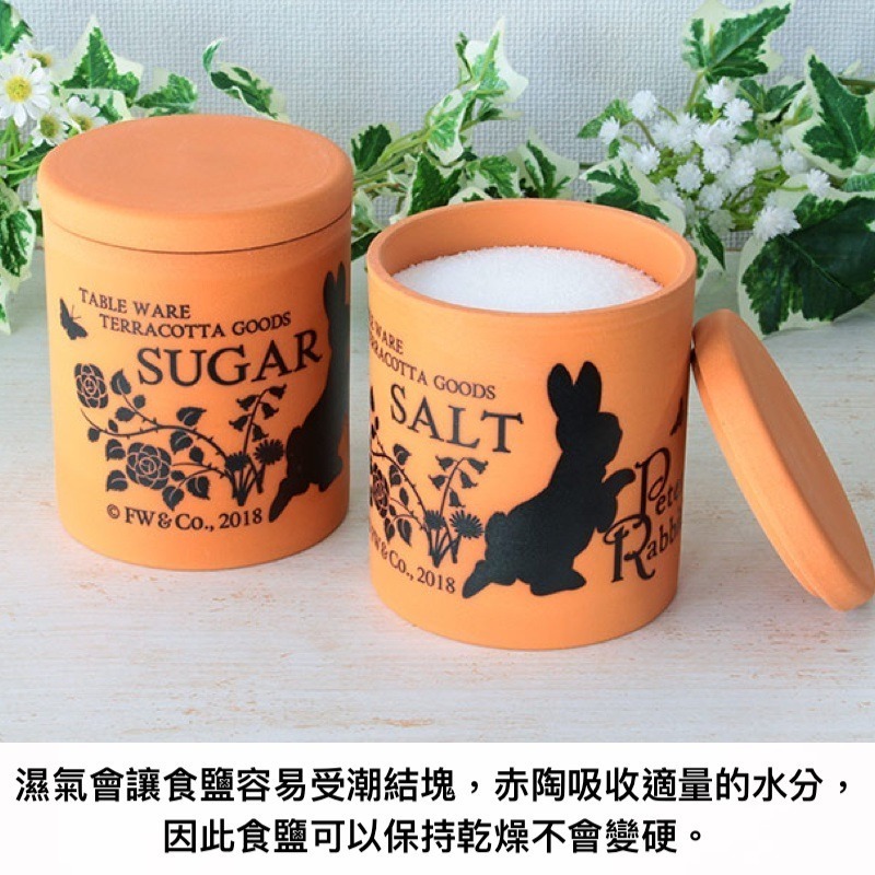 日本製Peter Rabbit彼得兔赤陶鹽罐⎪調味料罐-細節圖2