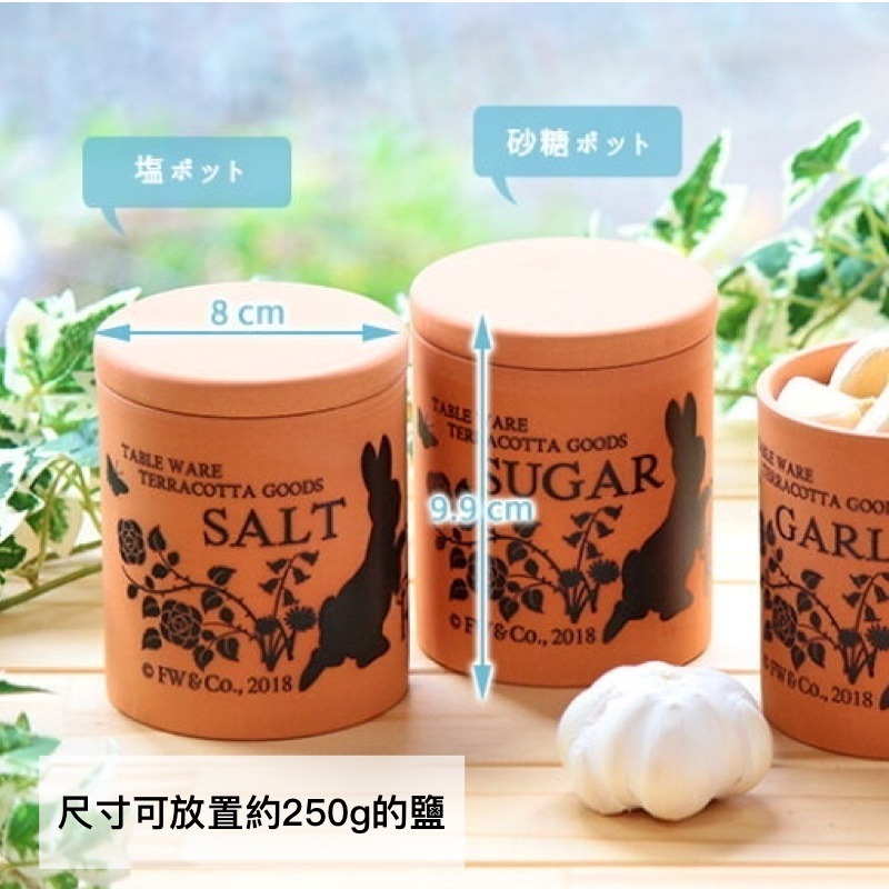 日本製Peter Rabbit彼得兔赤陶鹽罐⎪調味料罐-細節圖5
