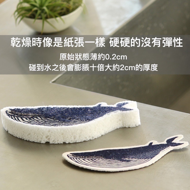 [友善地球首選] Ecomfort House日本製 kata kata北歐風天然環保清潔海綿 菜瓜布-細節圖2