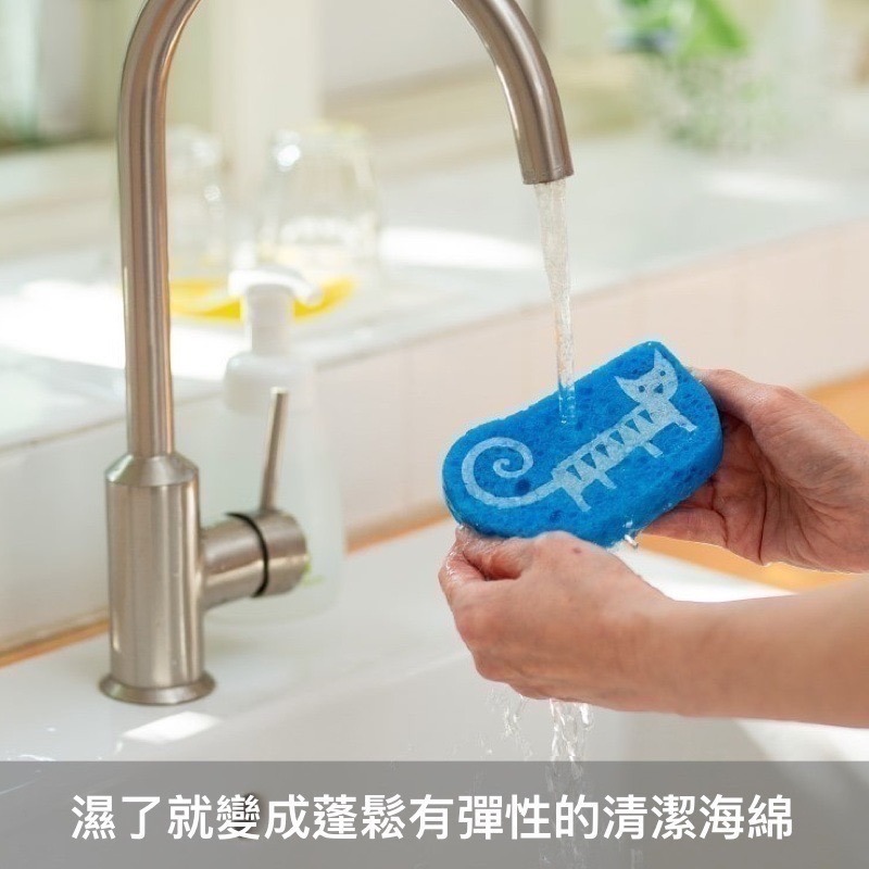 [友善地球首選] Ecomfort House日本製 kata kata北歐風天然環保清潔海綿 菜瓜布-細節圖3