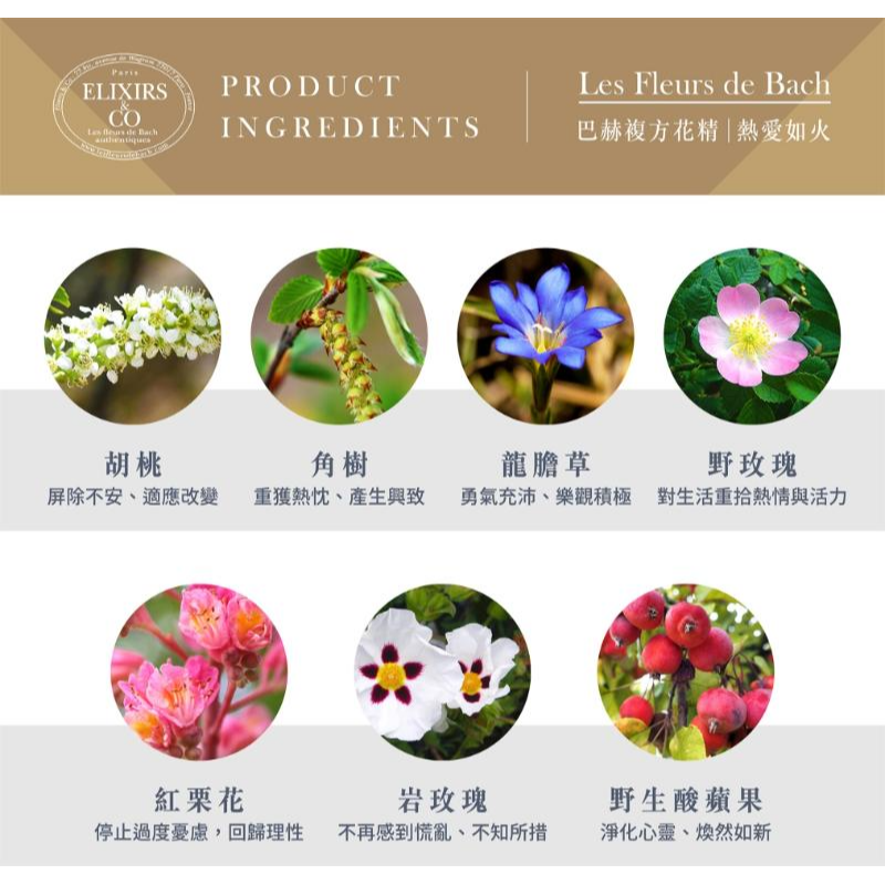 巴赫花精Les Fleurs de Bach 自信應試複方花精 20ml-細節圖5