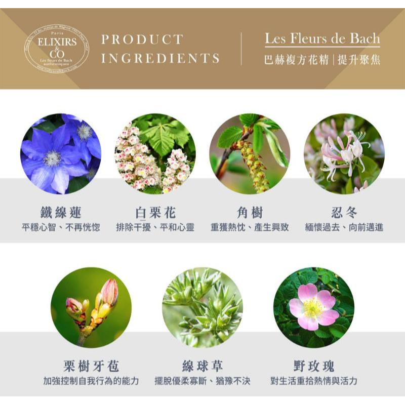 巴赫花精Les Fleurs de Bach提升聚焦複方花精 20ml 法國有機 平穩心緒 杜絕外在干擾-細節圖8