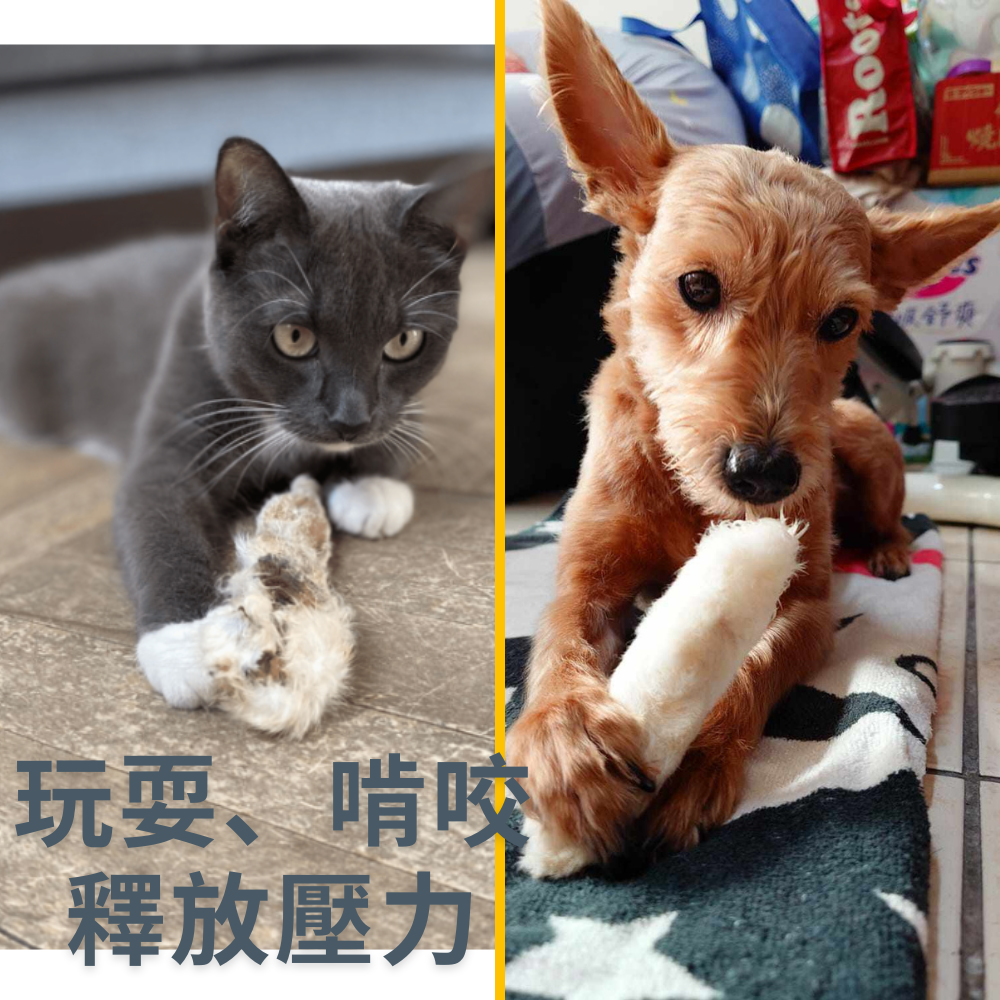 100%天然兔肋排-犬貓零食│50克/包-細節圖4