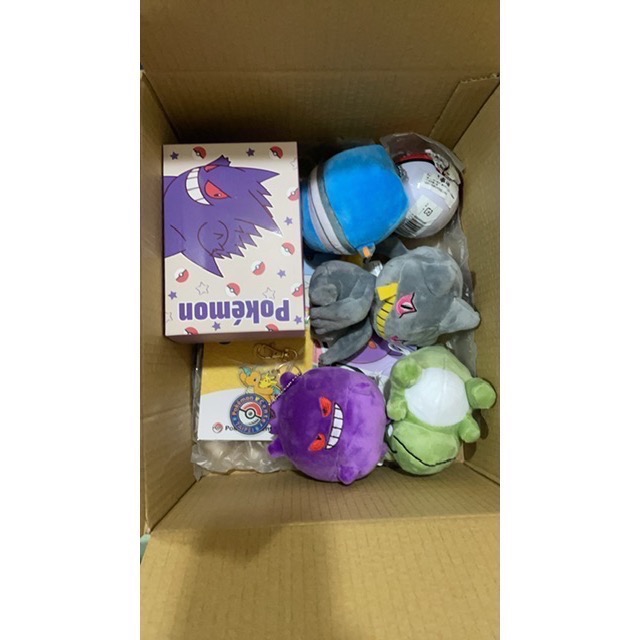 寶可夢中心絨毛娃娃一批-細節圖2