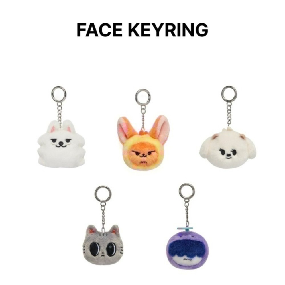 現貨 TOMORROW X TOGETHER TXT PPULBATU  鑰匙圈 吊飾 卡套 原子筆 保護套 紙膠帶-細節圖4