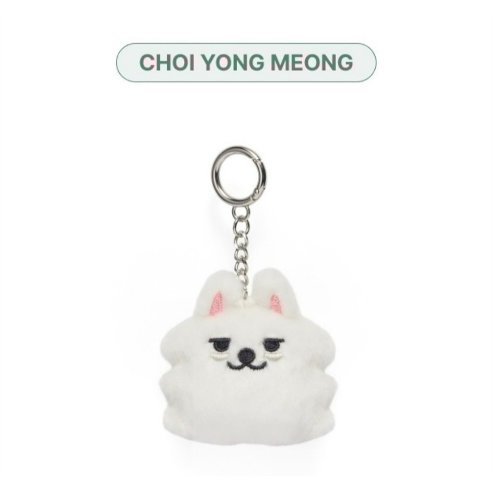 現貨 TOMORROW X TOGETHER TXT PPULBATU  鑰匙圈 吊飾 卡套 原子筆 保護套 紙膠帶-規格圖9