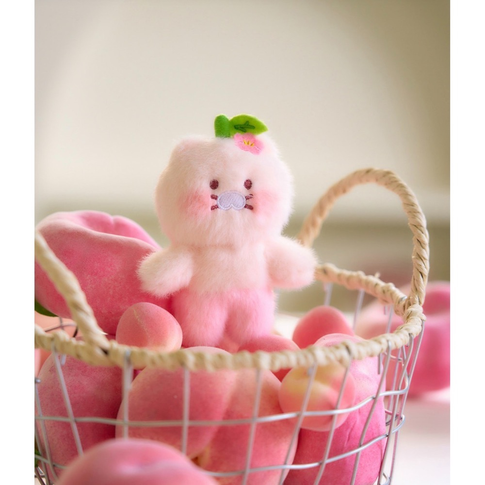 🇰🇷 現貨 KAKAO FRIENDS 粉色 桃子 春植 吊飾 鑰匙圈-細節圖2
