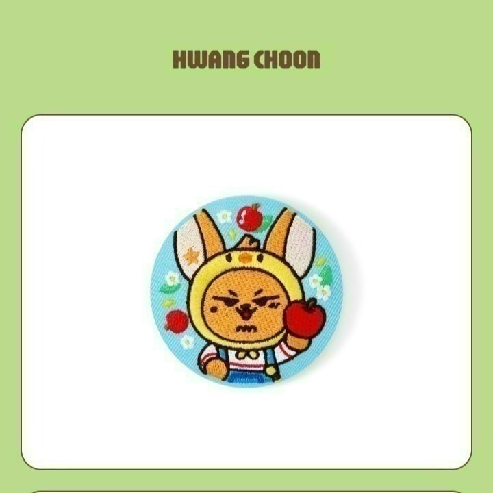 現貨  HWANG CHOON 刺繡徽章