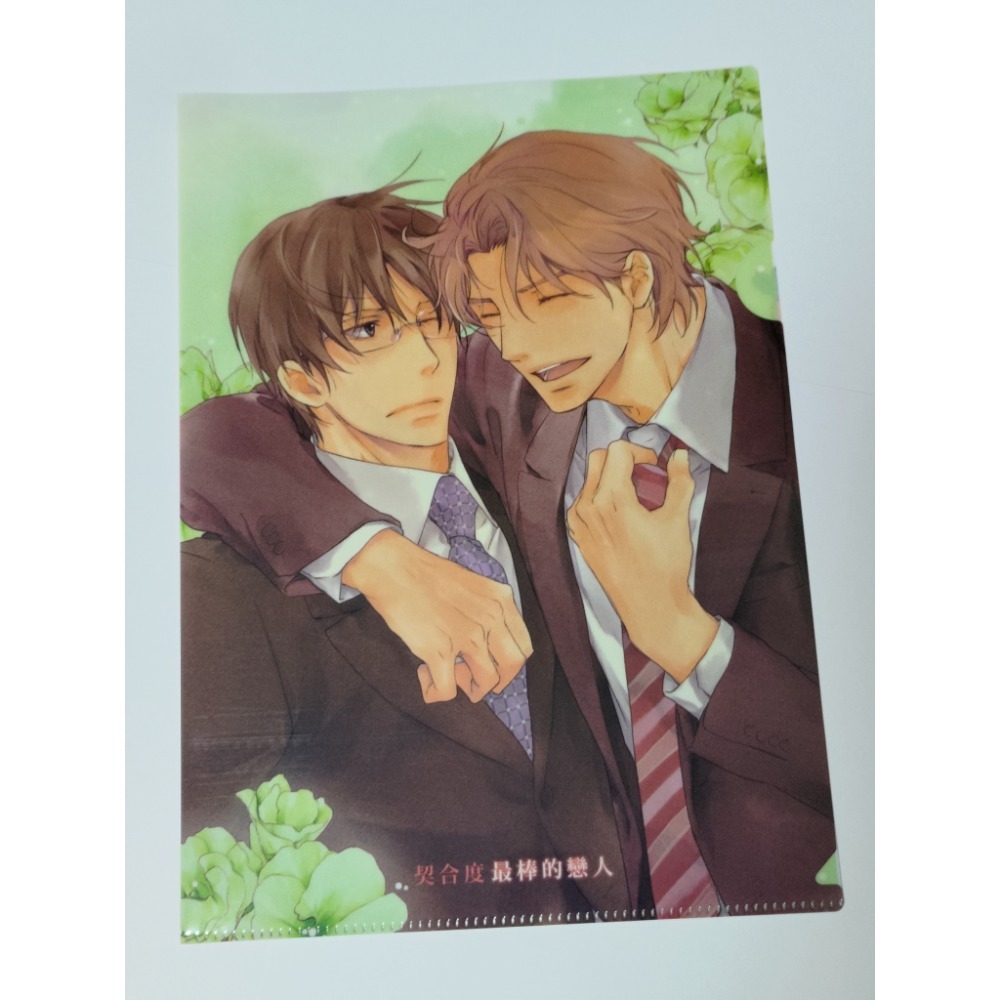 耽美週邊 資料夾 書皮-細節圖4