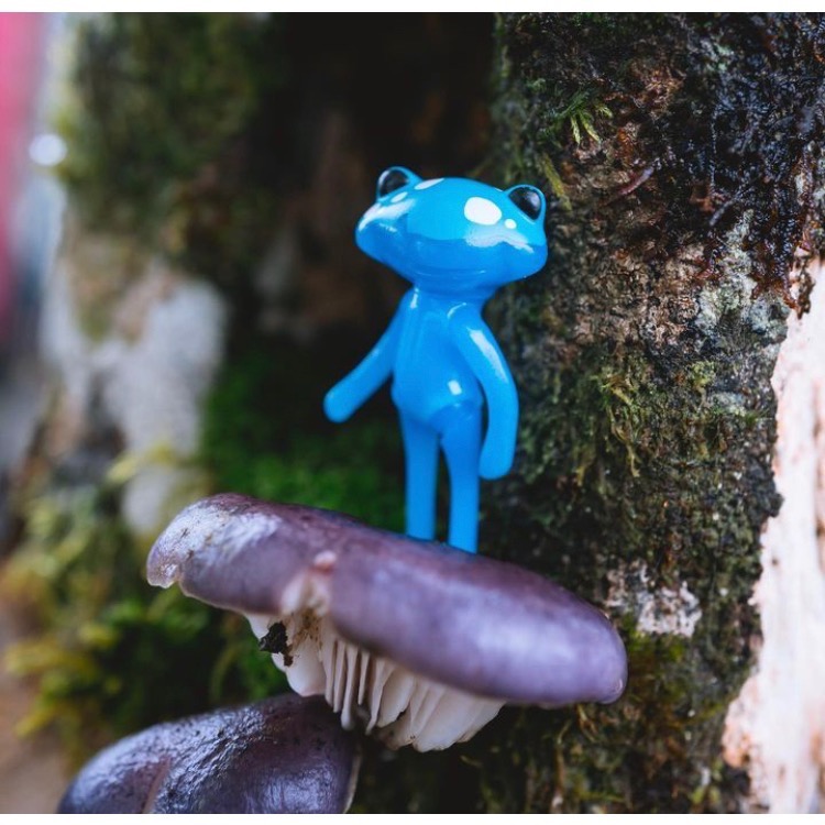 Wonder frog 藍蘑菇蛙-細節圖2