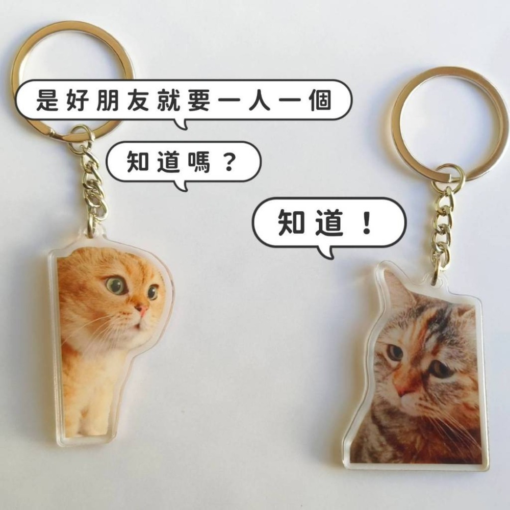 【貓貓對話表情包鑰匙圈】😺新一代迷因霸主 迷因meme吊飾掛件 惡搞梗圖表情包 網紅抖音貓貓動物卯咪貓咪 對話貓說話-細節圖2