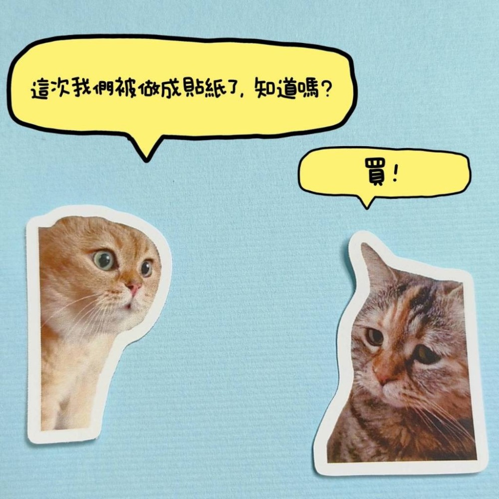 【貓貓對話表情包鑰匙圈】😺新一代迷因霸主 迷因meme吊飾掛件 惡搞梗圖表情包 網紅抖音貓貓動物卯咪貓咪 對話貓說話-細節圖4