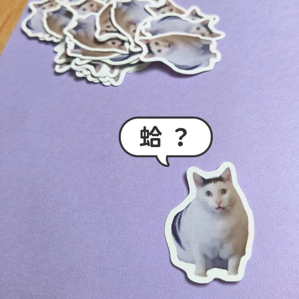 【huh貓蛤貓單張貼紙】😺10張 新一代迷因霸主 迷因meme文具打包卡片封口貼打包手帳裝飾標籤 可愛逗趣網紅動物-細節圖2
