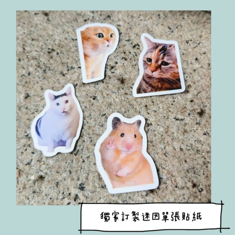 【huh貓蛤貓單張貼紙】😺10張 新一代迷因霸主 迷因meme文具打包卡片封口貼打包手帳裝飾標籤 可愛逗趣網紅動物-細節圖3