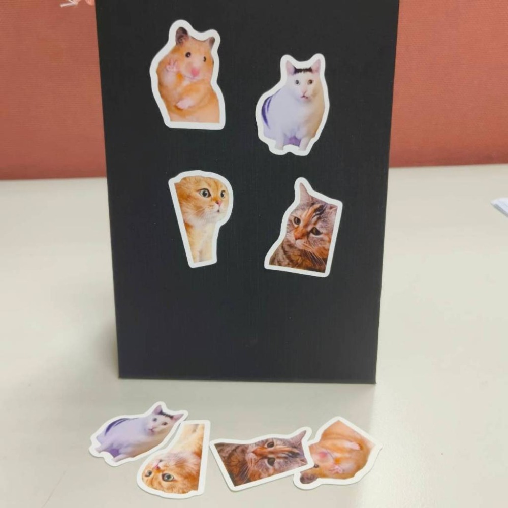 【huh貓蛤貓單張貼紙】😺10張 新一代迷因霸主 迷因meme文具打包卡片封口貼打包手帳裝飾標籤 可愛逗趣網紅動物-細節圖4