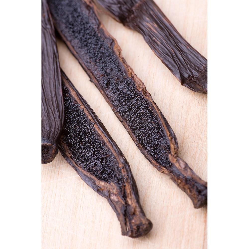 【柚子烘焙食品】法國 香草籽醬 PROVA 香草籽濃縮醬 1L/罐 普拉瓦 香草醬 香草風味 全素 馬達加斯加波香草莢-細節圖2