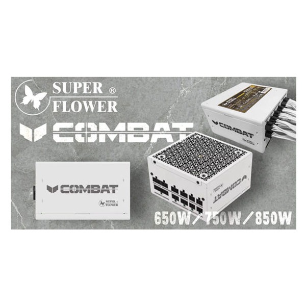 [含稅開發票] 全白色 振華 COMBAT 金牌 650W 750 850W【白】全模ATX3.1電源供應器/金牌全模組-細節圖2