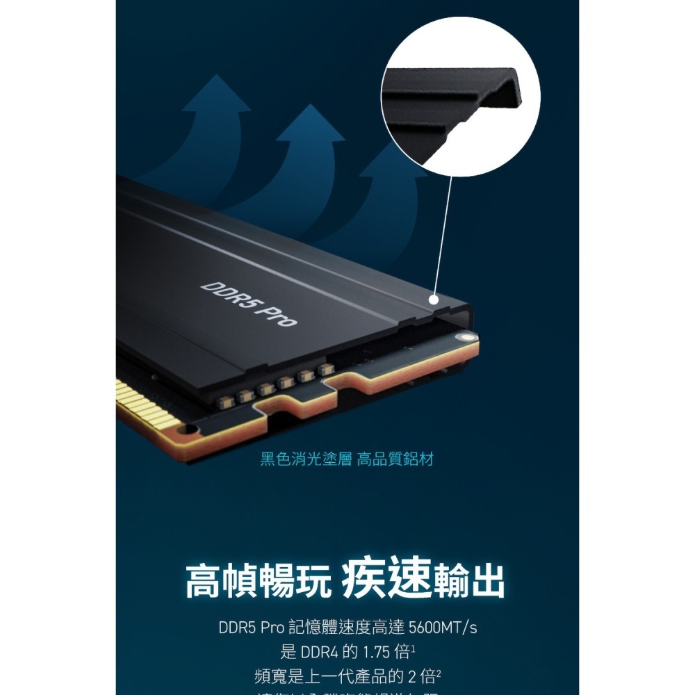 [含稅開發票]美光 Micron Crucial PRO D5 5600 64G(32G*2)超頻(雙通)(黑散熱片)-細節圖3