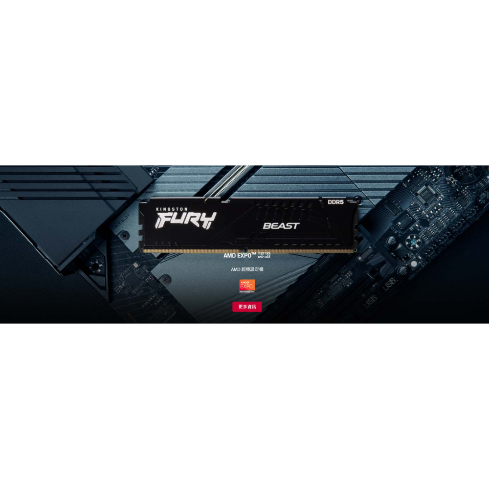 [含稅開發票] Kingston 金士頓 Beast 獸獵者 DDR5-5600 16G 桌上型電腦/DDR5/記憶體-細節圖2