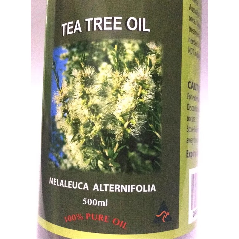 《鋼瓶 家庭號》🇦🇺澳洲100%茶樹精油500ml  可分裝多瓶-細節圖4