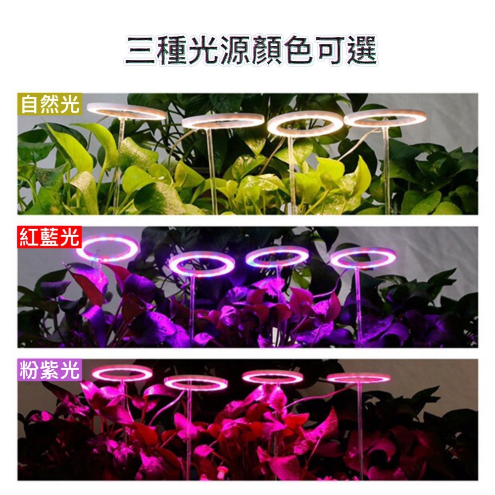 【職人照明】植物燈 植物生長燈 led 植物燈 植物燈全光譜 水草燈 多肉植物燈 定時開關 USB充電 全光譜 夾燈-細節圖2