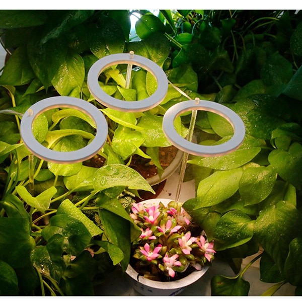 【職人照明】植物燈 植物生長燈 led 植物燈 植物燈全光譜 水草燈 多肉植物燈 定時開關 USB充電 全光譜 夾燈-細節圖4