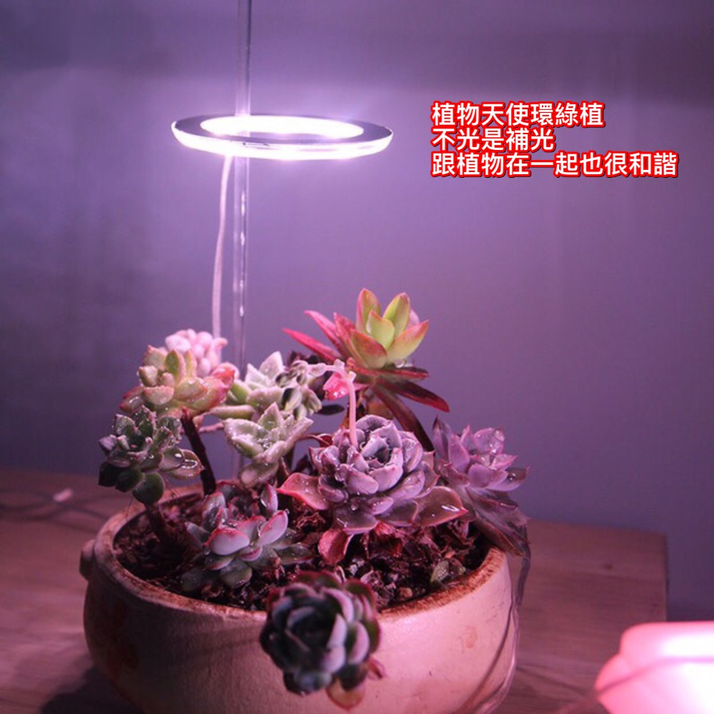 【職人照明】植物燈 植物生長燈 led 植物燈 植物燈全光譜 水草燈 多肉植物燈 定時開關 USB充電 全光譜 夾燈-細節圖9