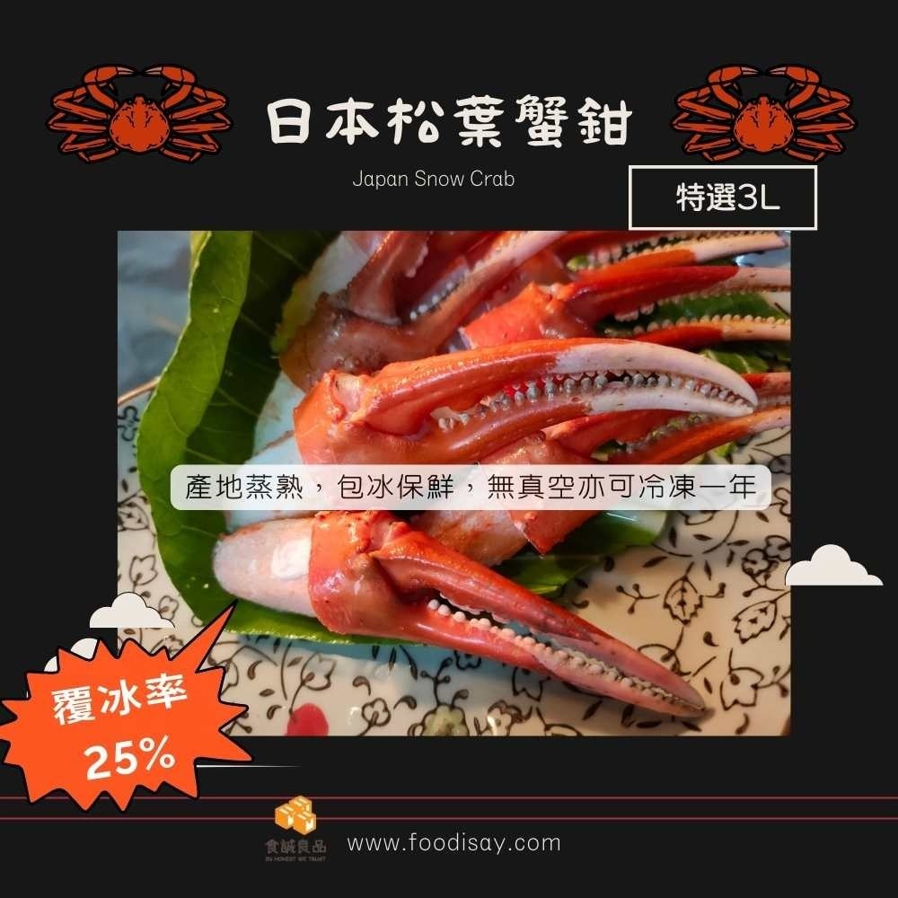 🦀食誠良品🦀 日本鳥取松葉蟹鉗  特選3L 等級-細節圖2