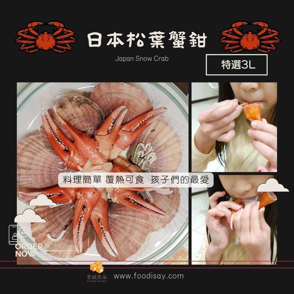 🦀食誠良品🦀 日本鳥取松葉蟹鉗  特選3L 等級-細節圖5