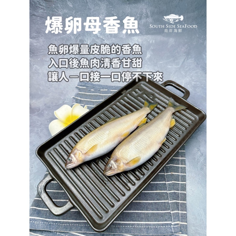 【南岸海鮮】母香魚-2入-細節圖2