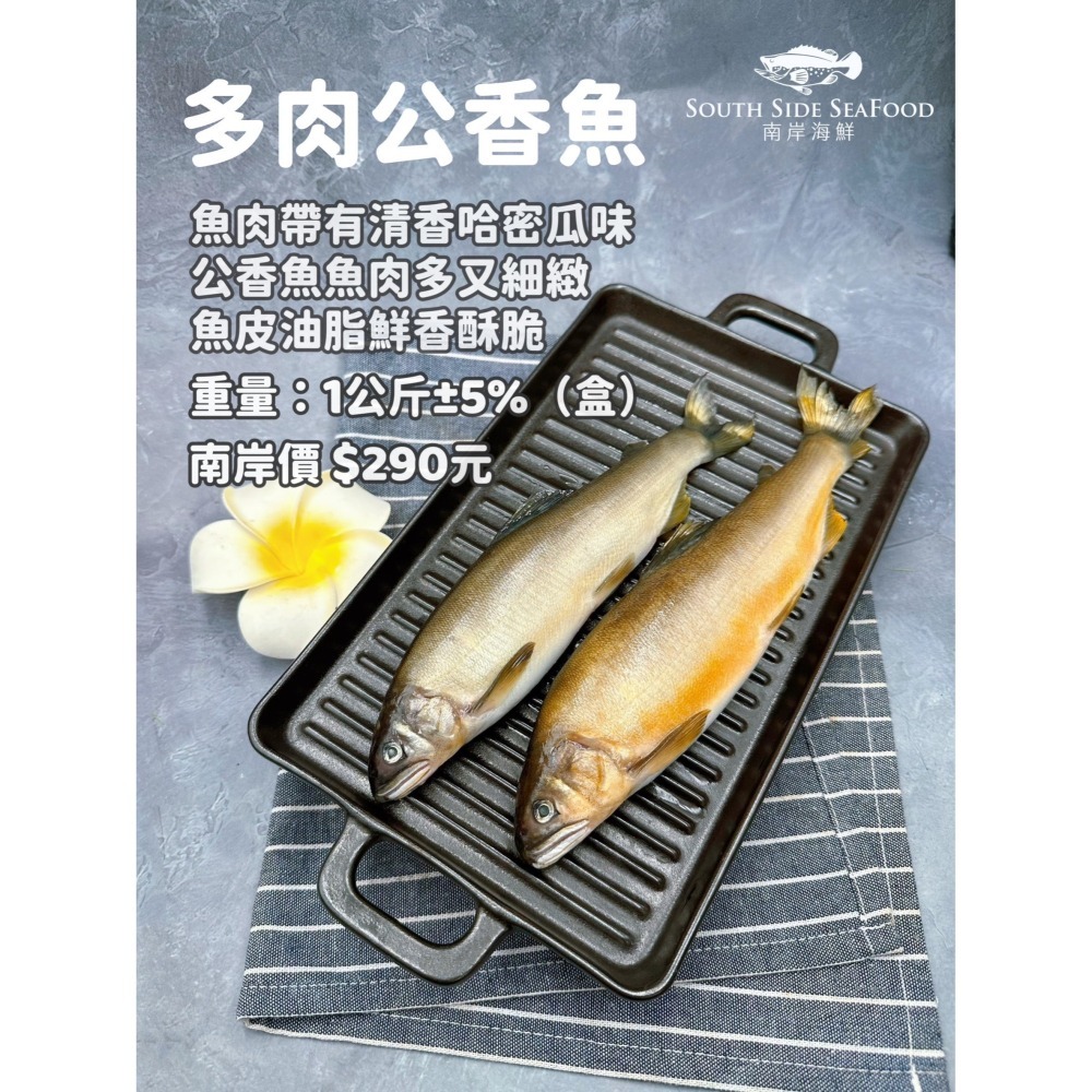 【南岸海鮮】公香魚-1公斤裝-細節圖2