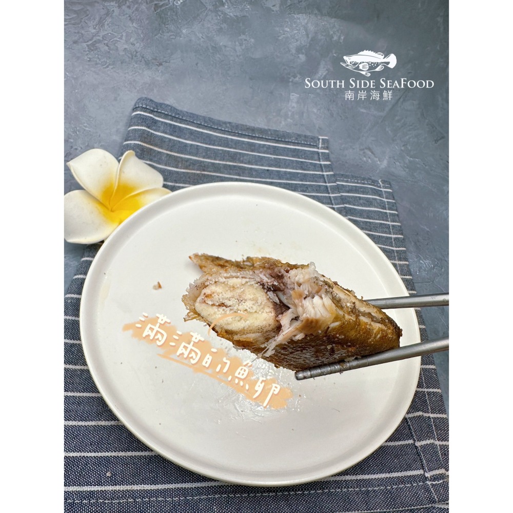 母香魚-6P-細節圖2
