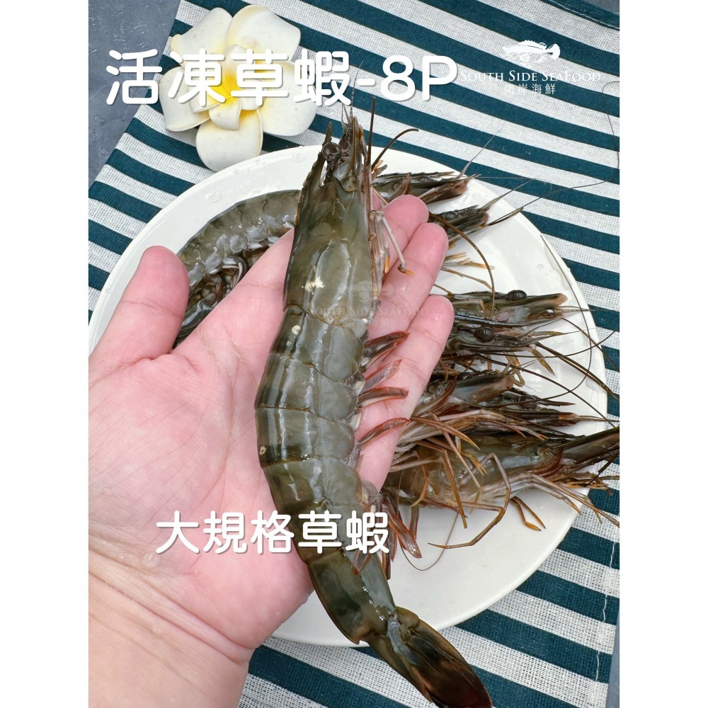 活凍草蝦-8P-細節圖2