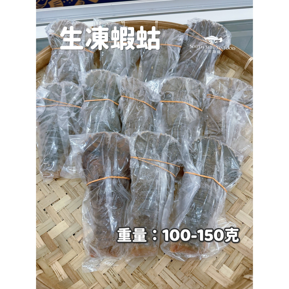 生凍蝦蛄(2尾)