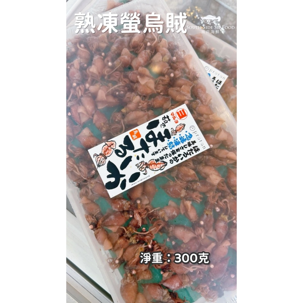 熟凍螢烏賊-細節圖2