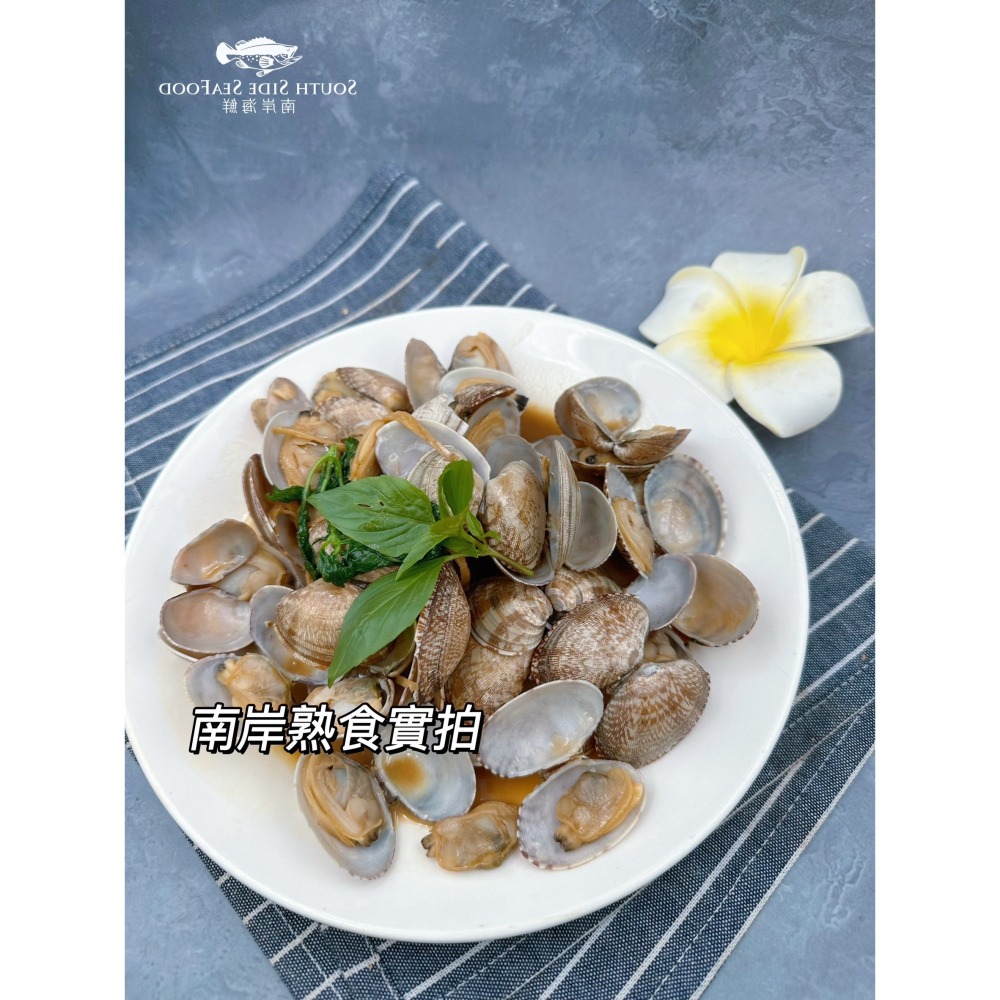 熟凍帶殼海瓜子-細節圖2