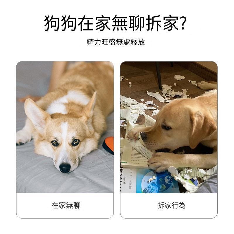 犬貓寵物玩具 八件套裝 球 小飛盤 棉繩球 發聲的籃球.小老鼠.尖叫雞.骨頭 貓咪 狗狗 寵物 玩具 生活用品-細節圖2