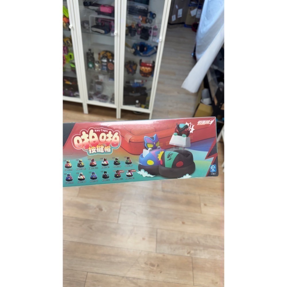 10個盲盒（整箱）