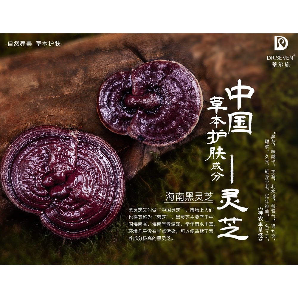 蒂爾施回春膏［官方授權正品］-細節圖8