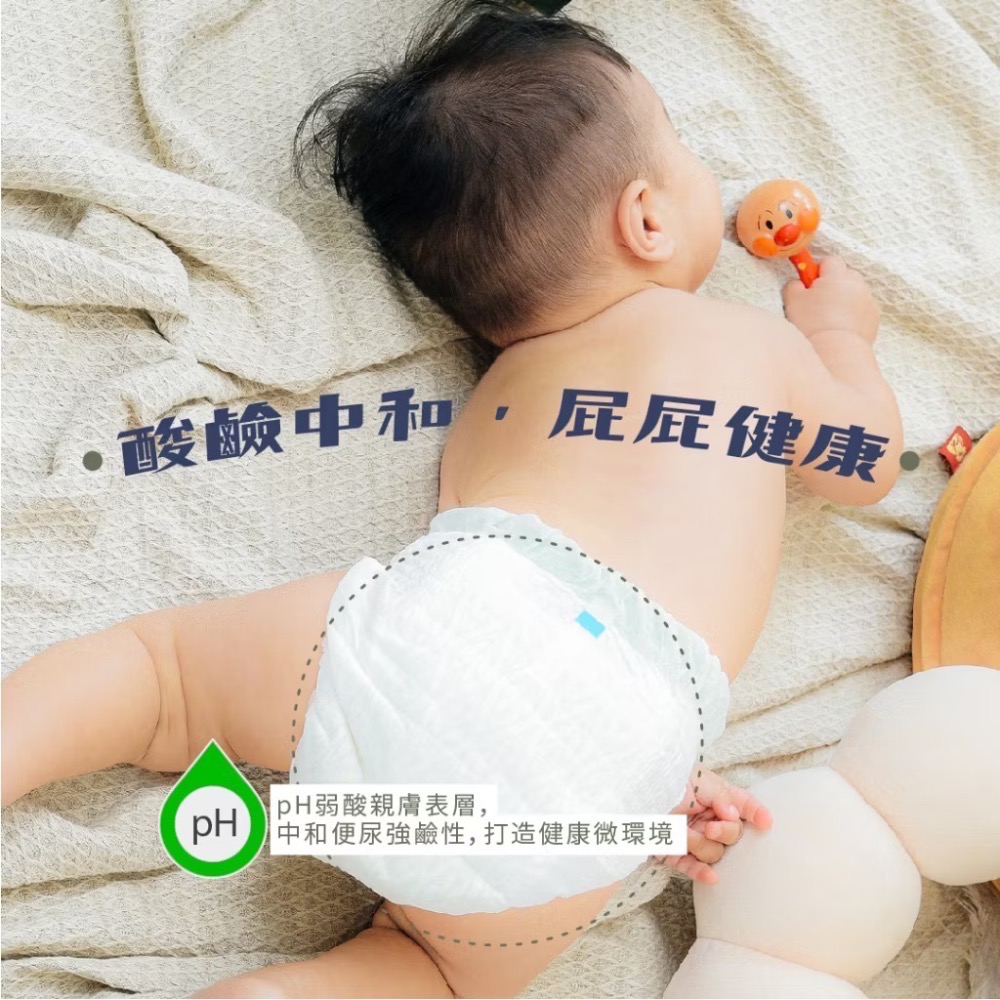 【波比 PureBaby】接財褲 植萃抑菌 (黏貼型/拉拉褲)-非現貨，可等再下單-細節圖7