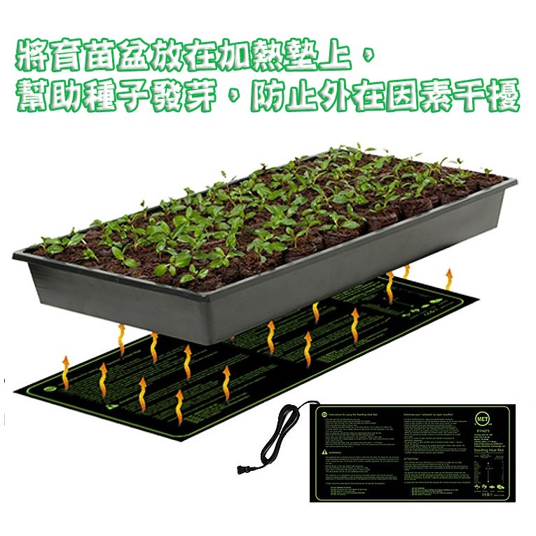 植物育苗加熱墊50x25公分 | 陸龜 星龜 牧草 多肉 盆裁 園藝 貓草-細節圖2