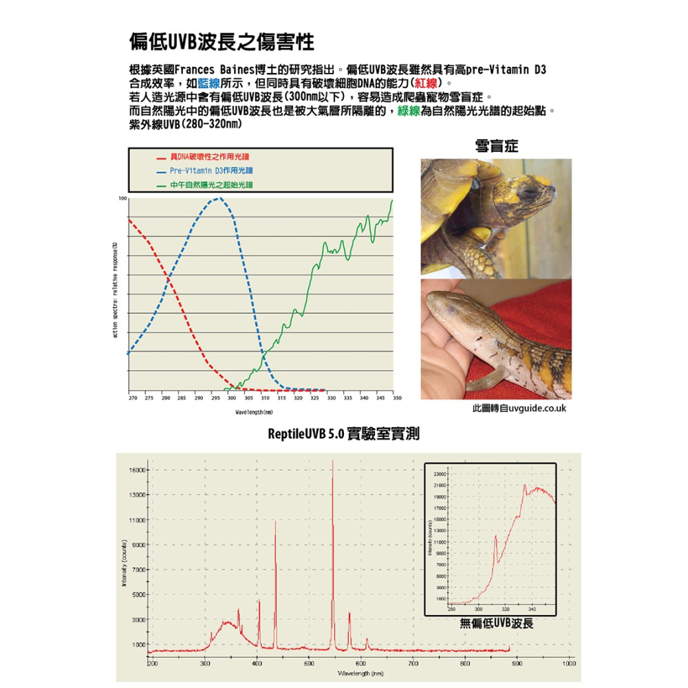 Reptile UVB 5.0 26W | 爬蟲紫外線 陸龜 水龜 守宮 鬆獅 鬣蜥 巨蜥-細節圖4