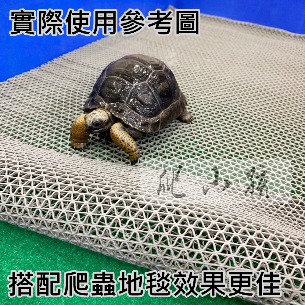 爬蟲排水地墊 _大尺寸客製(2尺以上) | 爬蟲 兩棲 陸龜-細節圖3