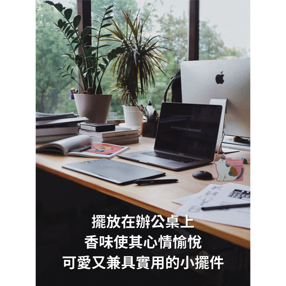 台灣現貨 貓咪芳香袋 香囊 香薰香包 香薰袋 氣味袋 香袋 衣物芳香袋 衣物香氛 車用香片 汽車香片 香氛吊卡 送禮小物-細節圖5