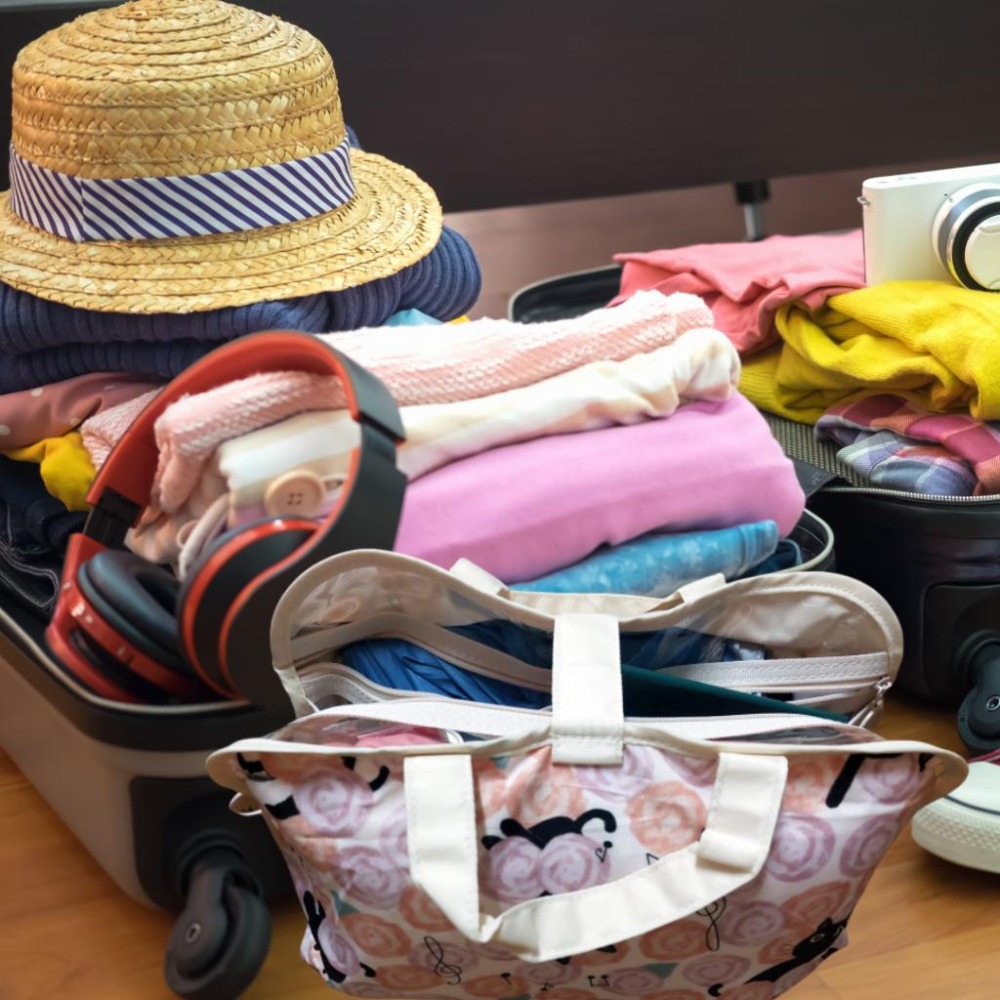 防水可愛貓咪手提旅行收納包 行李袋 拉桿包 插杆行李包 登機包 出國旅行 旅遊 出遊 郊遊 整理打包 換季收納-細節圖2