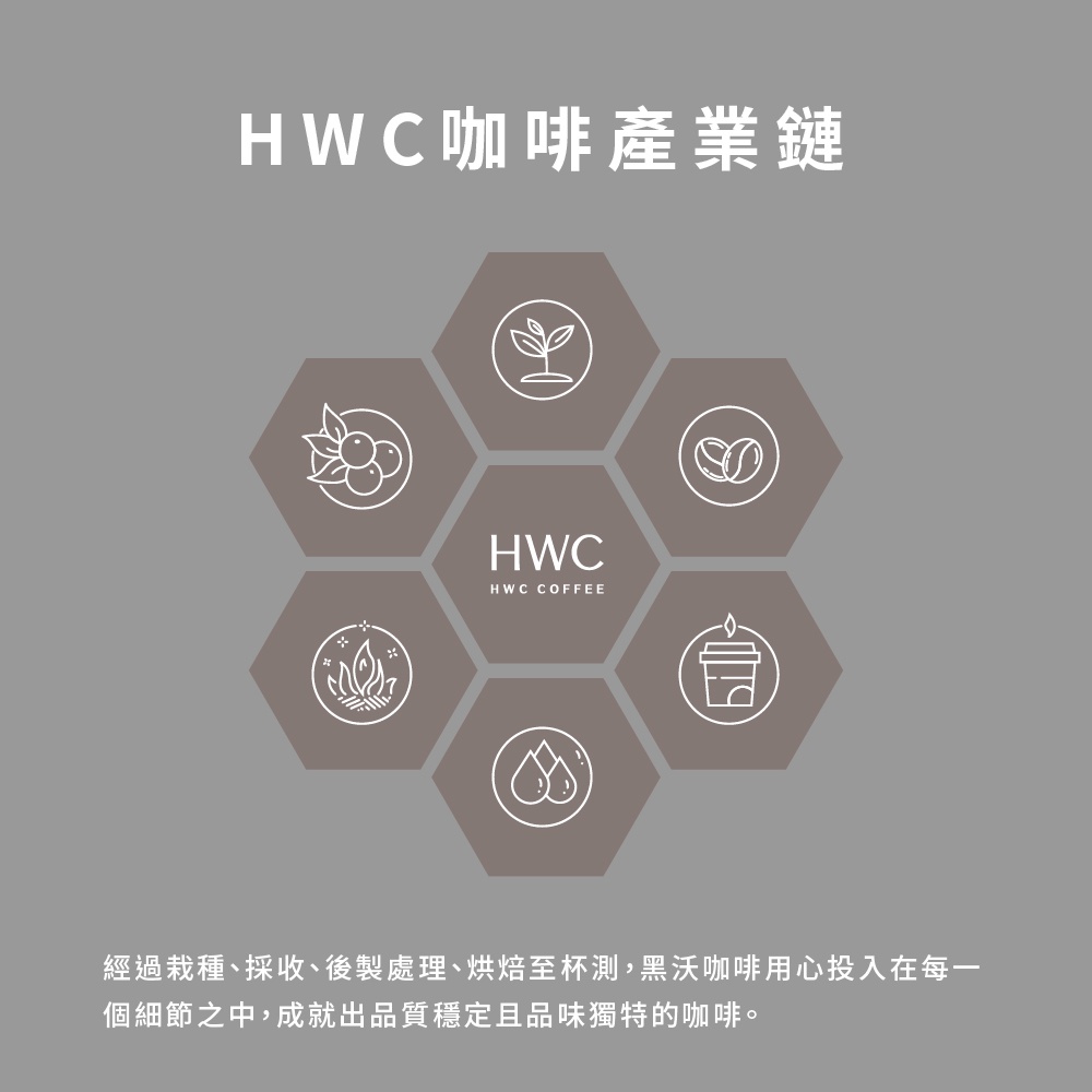 【HWC 黑沃咖啡】單品系列-濾掛咖啡10gX10包/盒(衣索比亞 耶加雪菲 檸檬花)-細節圖4